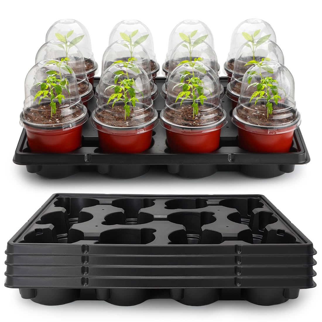 4 Inch 60 Pack Nursery Pots with Humidity Domes & 5 Pack 12 Cell Round Seedling Pot Carrying Trays, Sturdy Seeds Starter Pot Germination Set, Small Planter Nursery Propagation 5 Sets