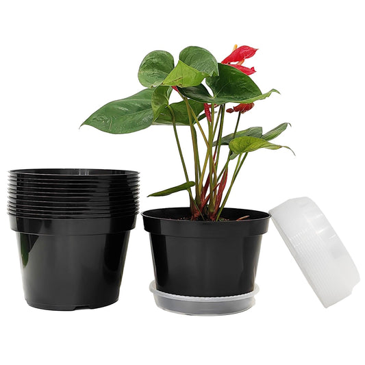 12 Pack Plant Pots, 8 Inch Plant Planter with Clear Saucer, Plastic Pots for Plants Indoor and Out Door Such as Strawberry, Herb and Flowers (Black)