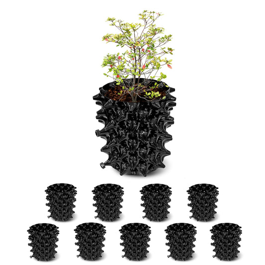 1 Gallon Air Pruning Containers New Plastic Nursery Pots Fruit Vegetable Garden Self-Planting Pots (10), Black (1G-10P)