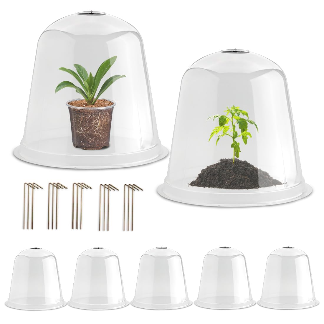 13 Inch Humidity Domes Garden Cloches for Plant Protection, Plant Protectors from Animals, Garden Clear Plant Cover with Ventilation Holes 5 Pack