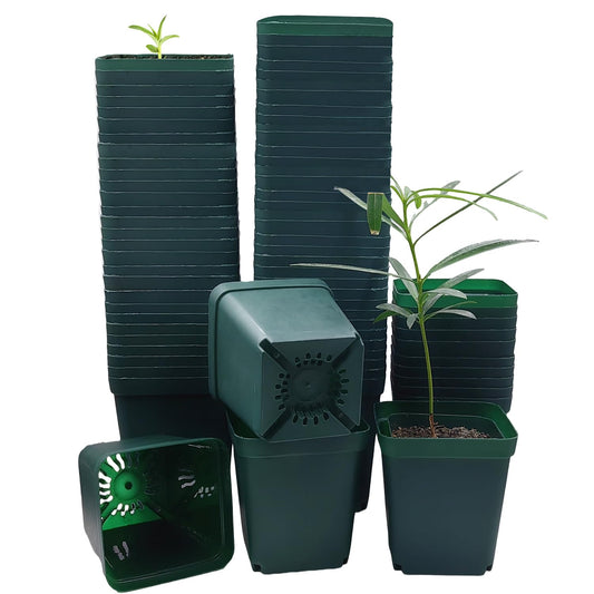 Square Nursery Seedling Pot 3.5 Inches 90 Pcs, Small Nursery Pot Plastic Thick and Sturdy Seed Start Germination Pot for Plant Propagation and Seeding(Green,3.54 Inches, 90Pcs)