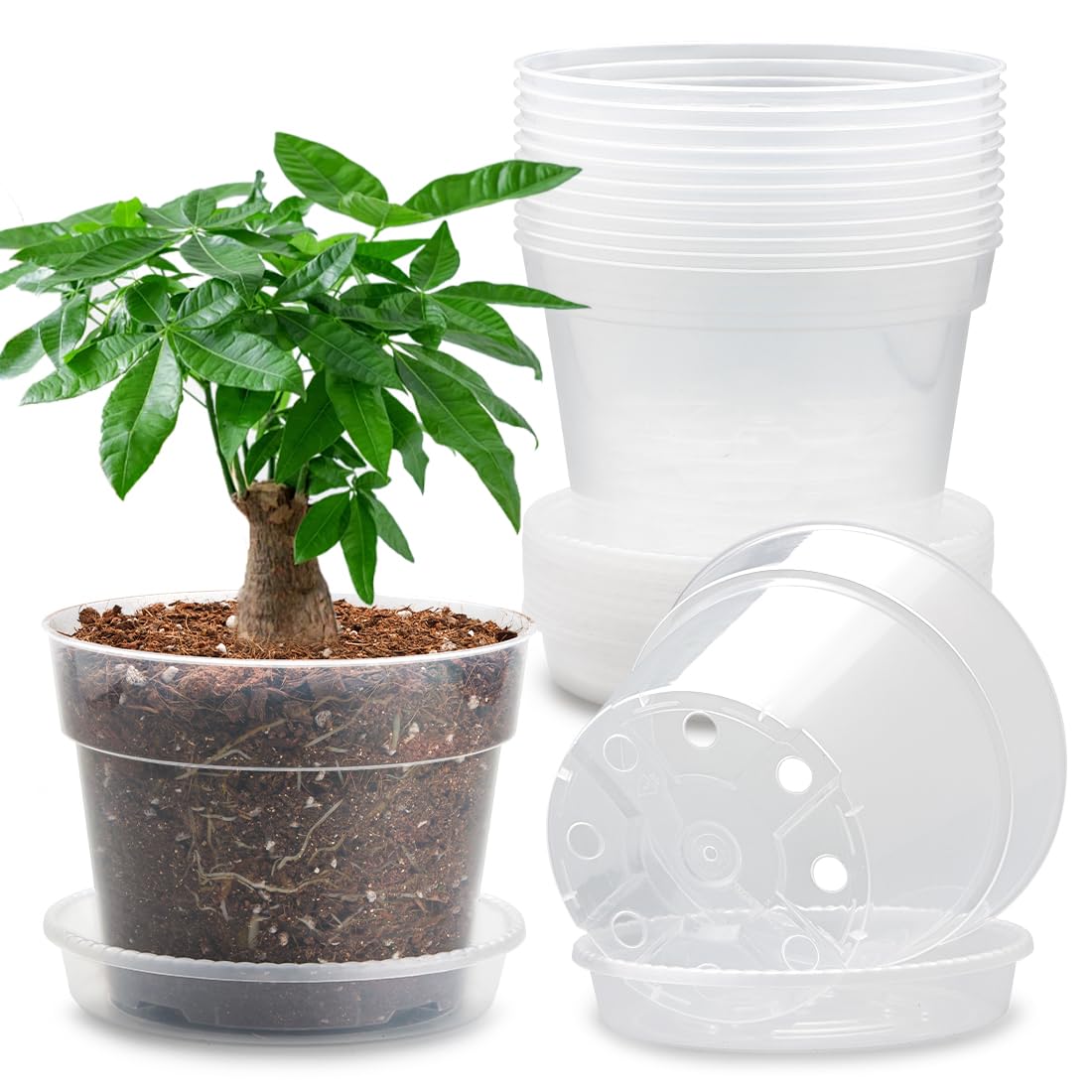 12 Pack 7 Inch Clear Nursery Pots with Saucer, Transparent Plastic Plant Pots with Drainage Holes, Sturdy Plant Starter Pots, Planter Pot for Planting Succulent Flower Herb Vegetable, Gardening Gifts