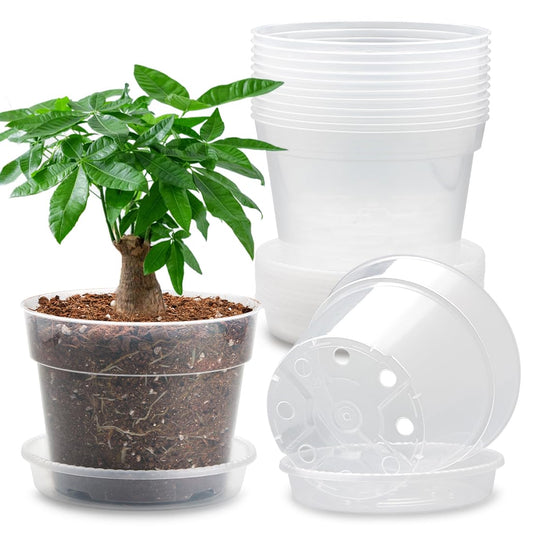 12 Pack 7 Inch Clear Nursery Pots with Saucer, Transparent Plastic Plant Pots with Drainage Holes, Sturdy Plant Starter Pots, Planter Pot for Planting Succulent Flower Herb Vegetable, Gardening Gifts
