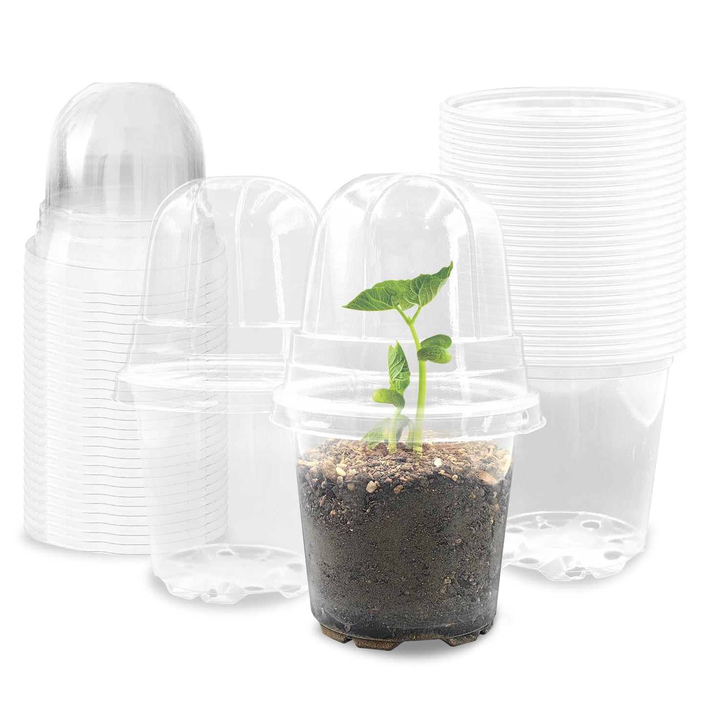Transparent Nursery Pots 3.5Inch with Humidity Domes for Seeds Starting, Clear Plastic Plant Pots with Drainage Holes (3.54Inch, 40Pcs,Clear Pots with Lids)