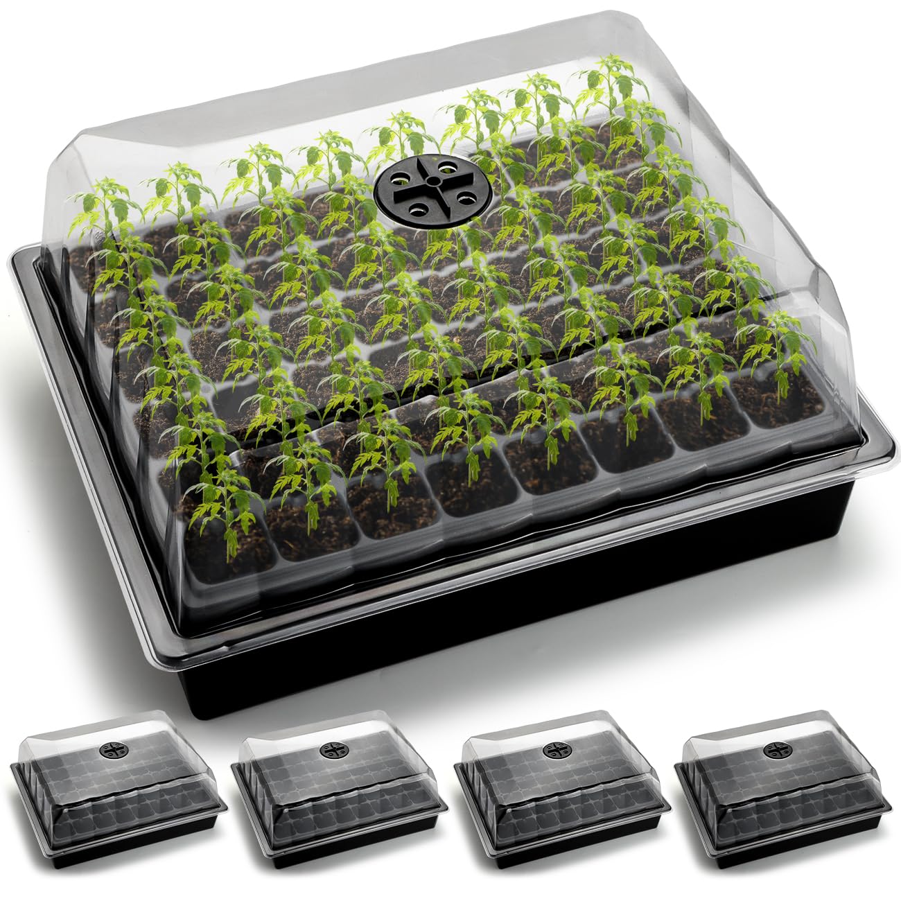 5-Pack No Drip Seed Starter Trays with 4" Humidity Dome - 240 Cells Deep Root Plug Trays, 2.76" Depth for Strong Roots Perfect for Vegetables, Herbs, Flowers & Plant Propagation, Gardening Supplies