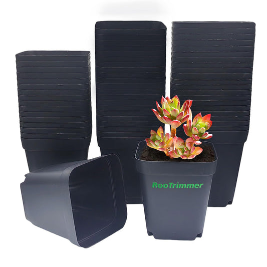 Square Nursery pots 4 Inches 60Pcs, Seedling Plastic Seeds propogation Growing Pots (Black,4Inches,60Pcs)