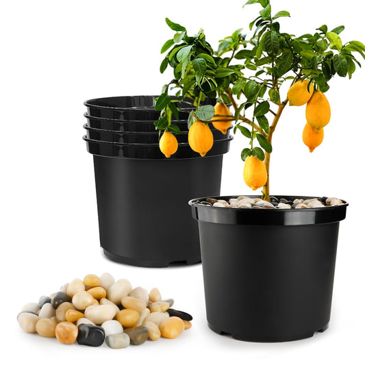 5 Gallon Pots with 10lbs Rocks, 12 Inch Plastic Nursery Pots with Drainage Holes, Round Sturdy Garden Pots with Stones, Deep Nursery Pots for Plants, Gardening Gifts for Women (5-Pack, Black)