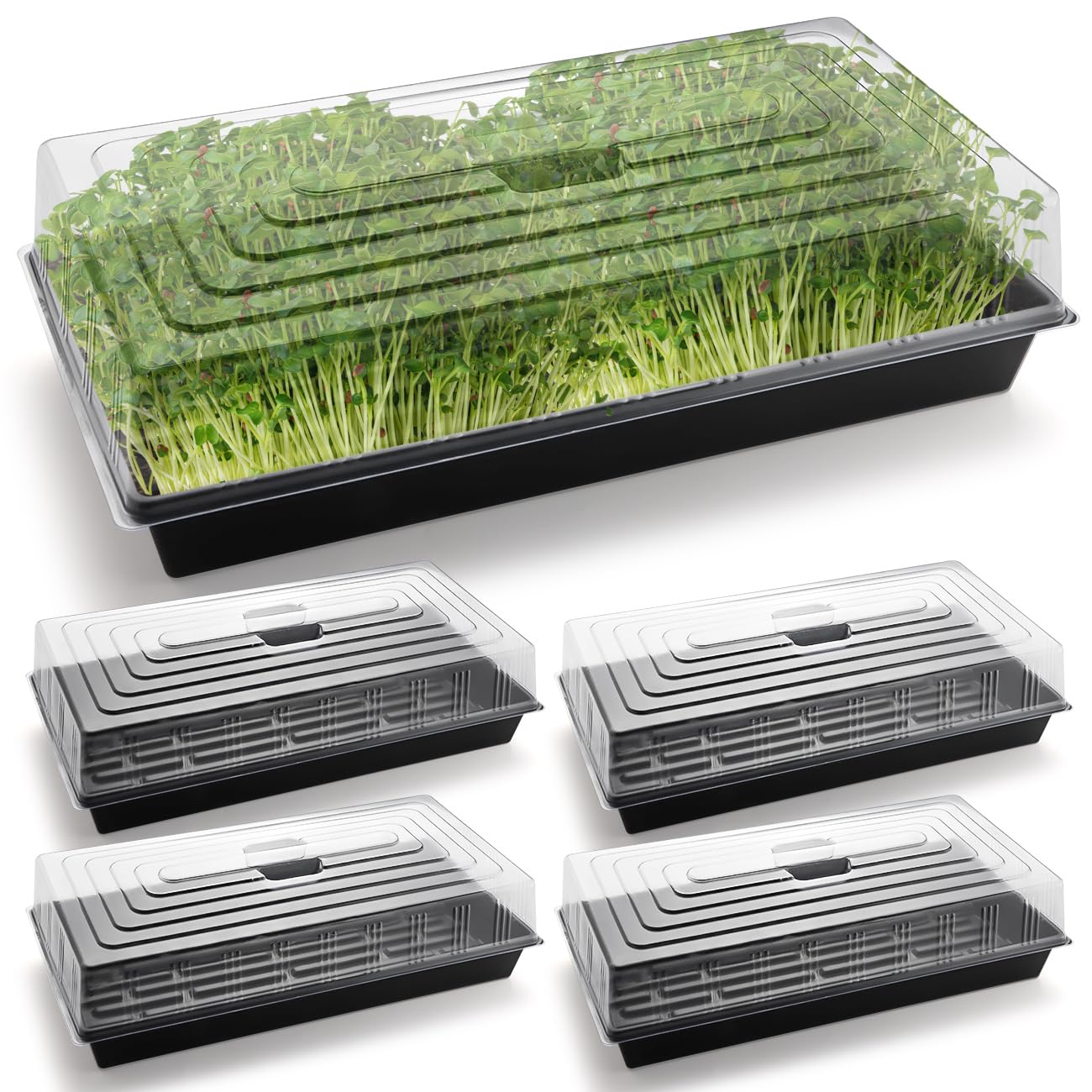 5-Pack 1020 Seed Trays with Humidity Domes - Reusable Heavy Duty Plant Propagation Trays, 3.6" 1020 Clear Greenhouse Covers & Handle for Seedlings, Cloning, Microgreens (No Holes Design)