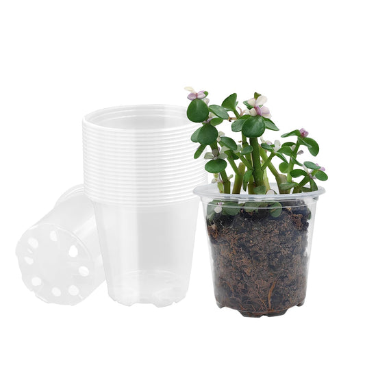 3.5" Clear Seeding Pots 20 Pack Round for Seeds Starter Pots, Seeds Germination Transparent Nursery Pots with Drainage Holes (Clear,3.5Inch,20PCS)