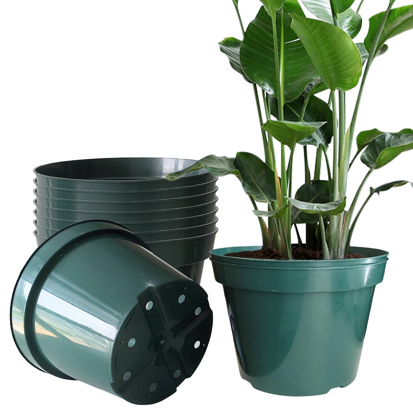 10 Pack Green Plastic Planter Pots, 10 Inch Thick with Multiple Drainage Holes, for Herbs, Strawberries, Flowers - Indoor/Outdoor