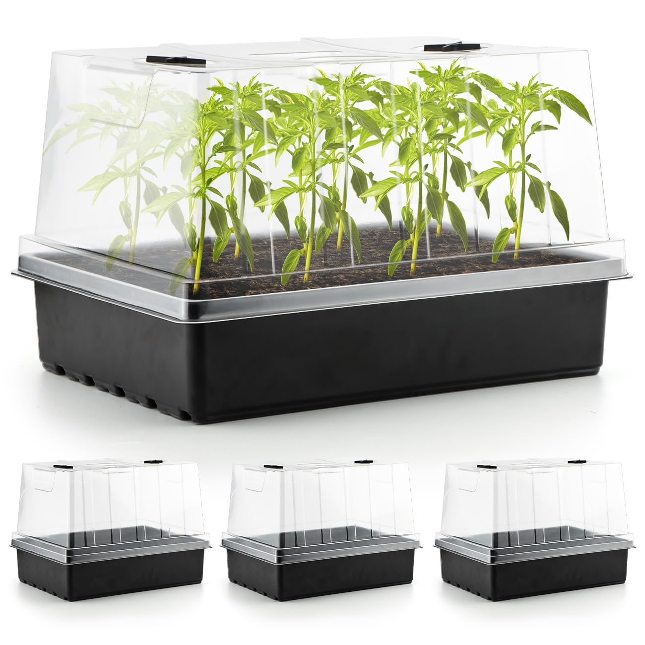 4-Pack Seed Starter Trays with 5'' Tall Humidity Domes – Reusable Plant Germination Kit for Microgreens, Herbs & Indoor Gardening | Clear Vented Lids, Fast Seedling Growth & Durable Design