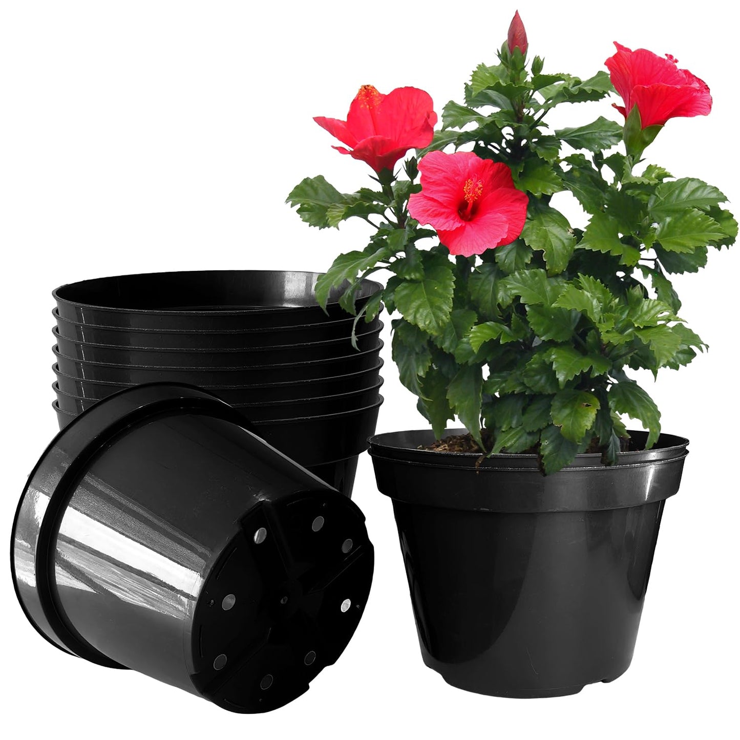 10 Inch Plastic Nursery Pots for Plants 10 Pack Plant Pots with Drainage Holes 2 Gallon Nursery Pots Perfect for Indoor Outdoor Plants Such as Herbs, Strwaberrys and Flowers, Black