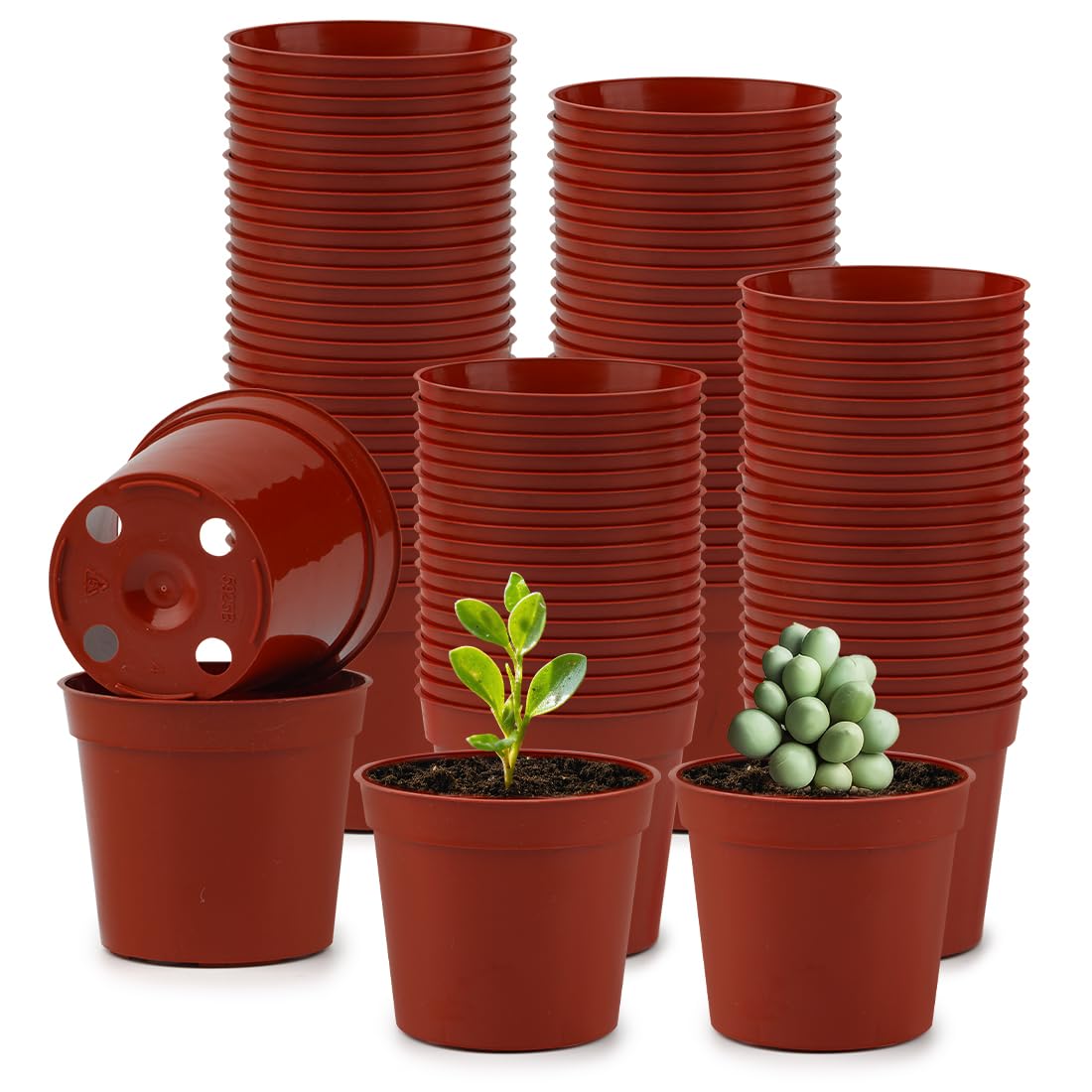 100-Pack 2.5 inches Plus Tiny Round Plant Pots Succulent Seedling Nursery Pots Made from Virgin Grade PP Material(Tiny, 68mm2.5 inch)