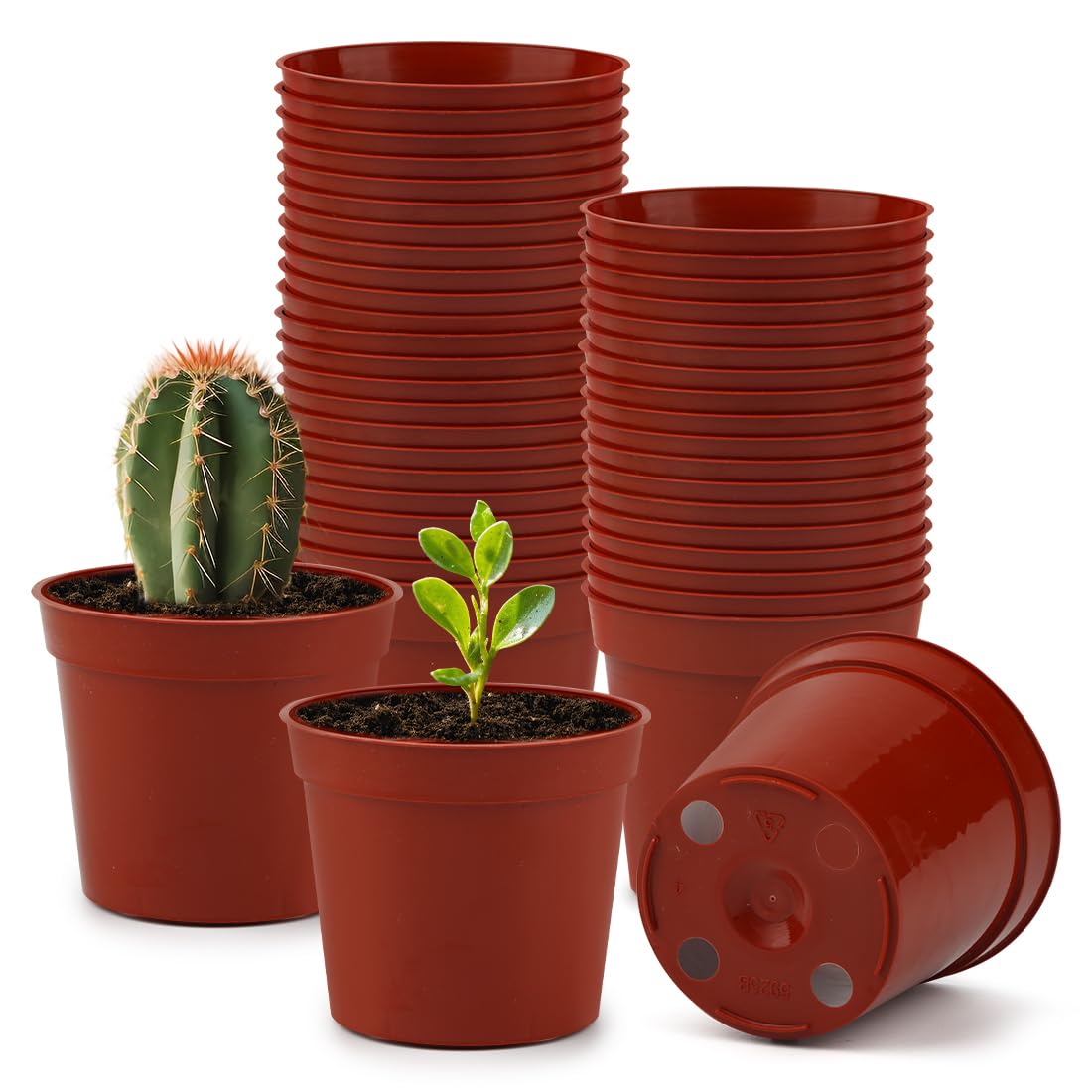 主图下载 A+图片下载 评论图片下载 关联视频下载 50 Pack 3.3 Inch Plastic Plant Nursery Pots, Seedling Pots with Drainage Holes, Seed Starting Pots, Small Plant Pot for Planting Flowers Indoor Outdoor, Red