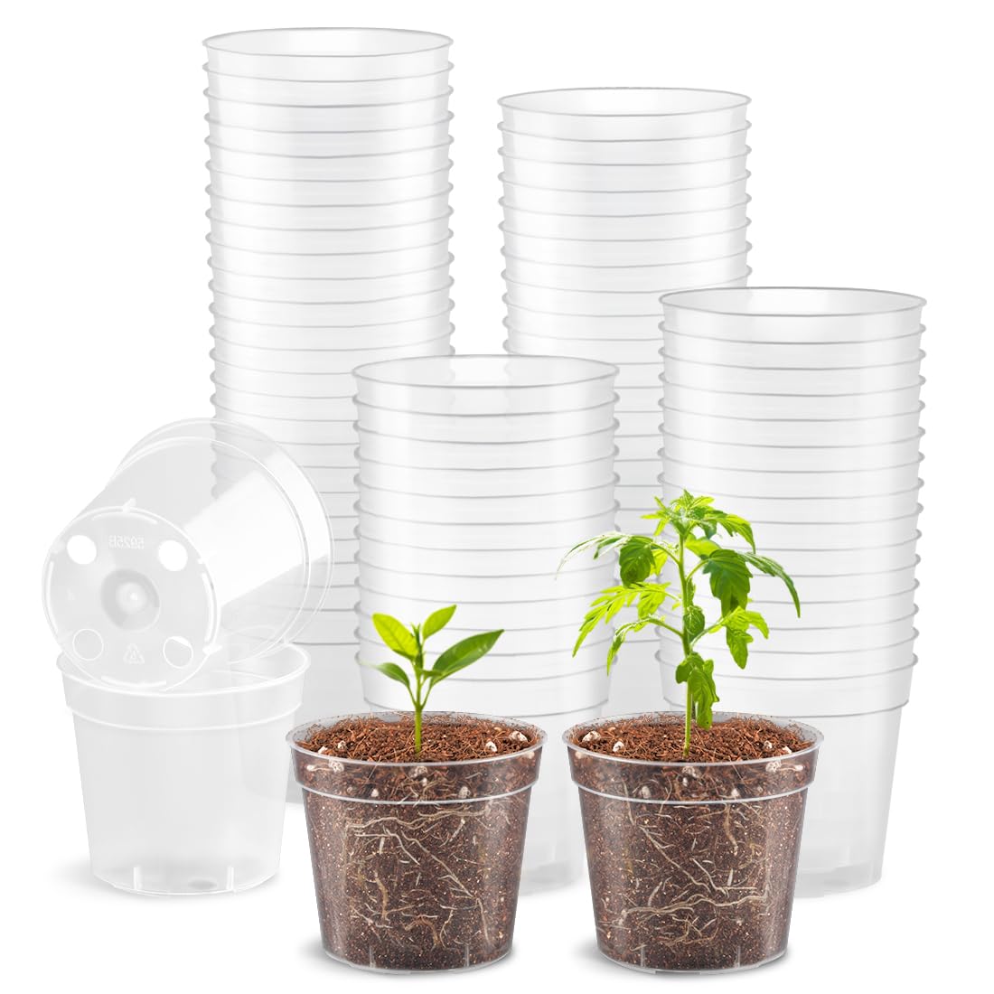 2.5" Clear Seeding Pots 100-Pack Round for Seeds Starter Pots, Seeds Germination Transparent Nursery Pot with Drainage Holes (2.5Inch,100Pcs,Clear)
