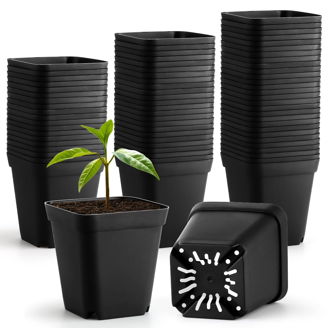 BTPLASTIK 60 Pcs Nursery Pots 2.7 Inch, Plastic Seed Starting Pot with Drainage Holes, Sturdy Seedling pots for Planting, Cuttings (Black)