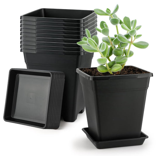 BTPLASTIK Square Plastic Planter 8 Inch, Plant Pots with Drainage Hole & Tray, 10 Pack Modern Decorative Garden Pot with Saucer, 1 Gallon Flower Pots Planters for Indoor Outdoor Plants