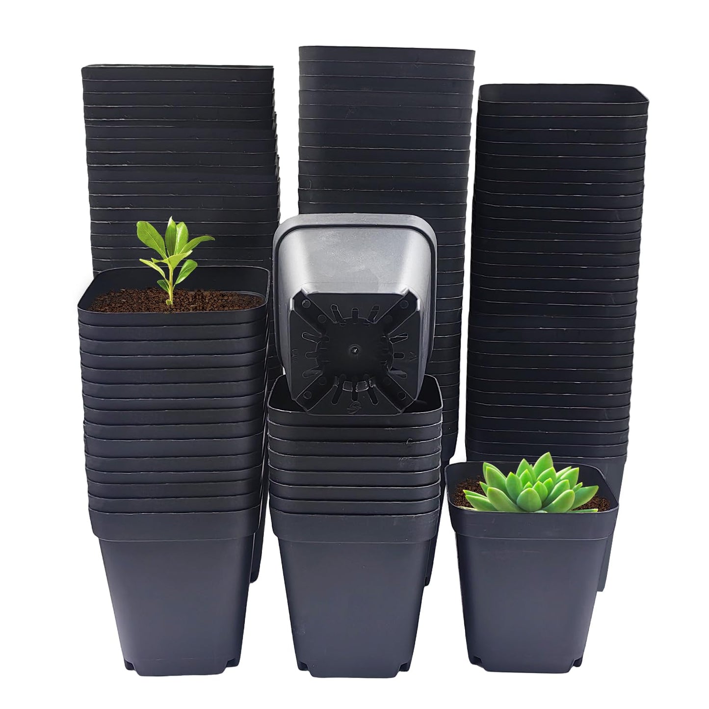 Square Nursery Pots 3" 120Pcs Deep Succulent Plastic Pots Small Flower Planter Seeds Starter Germination Pots with Drainage (Black,2.7Inches,120Pcs)