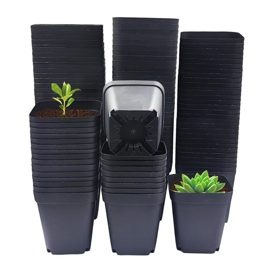 Square Nursery Pots 3" 120Pcs Deep Succulent Plastic Pots Small Flower Planter Seeds Starter Germination Pots with Drainage (Black,2.7Inches,120Pcs)