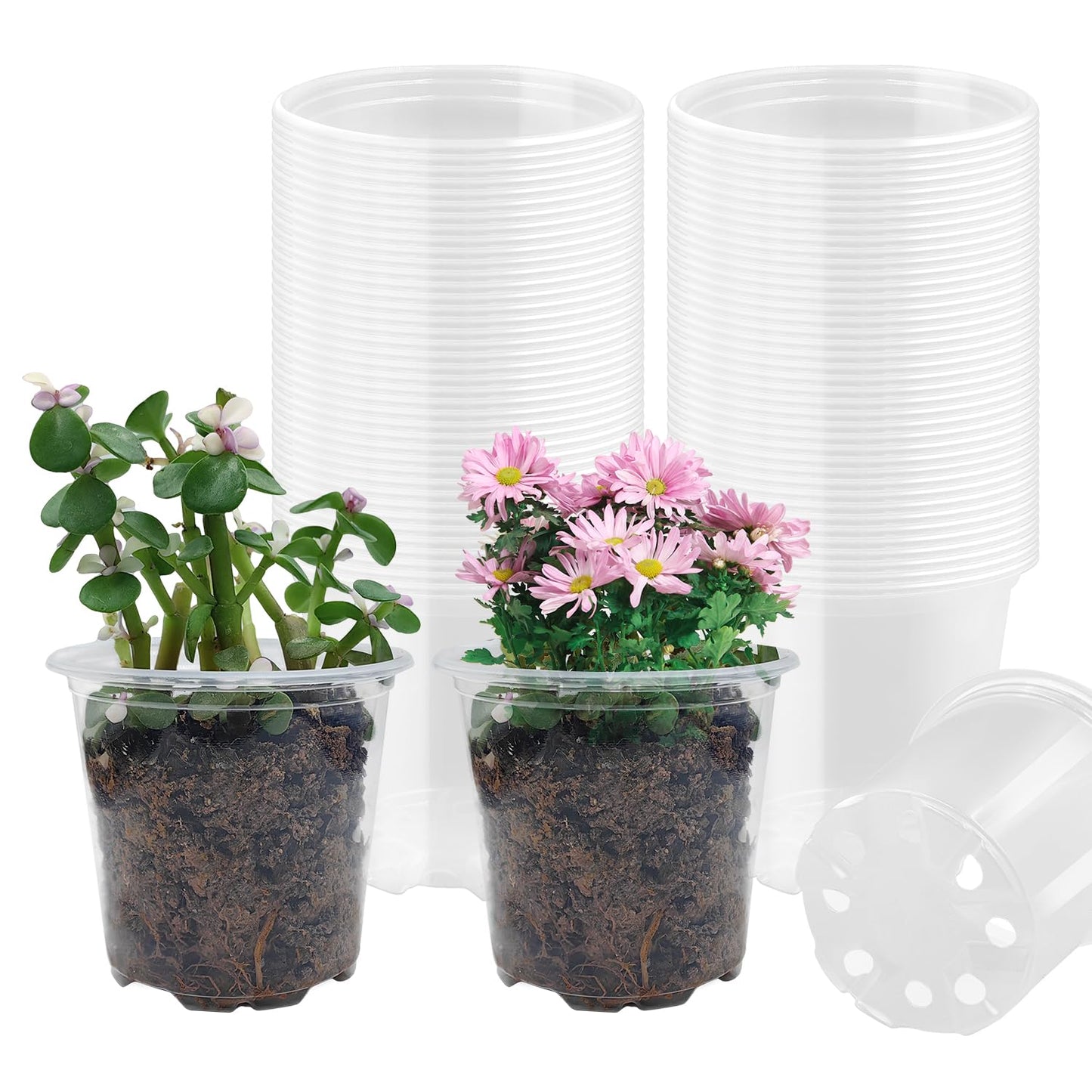 4" Clear Seeding Pots 50-Pack Round for Seeds Starting, Seeds Germination Transparent Nursery Pots with Drainage Holes (4Inch,Clear,50Pcs)