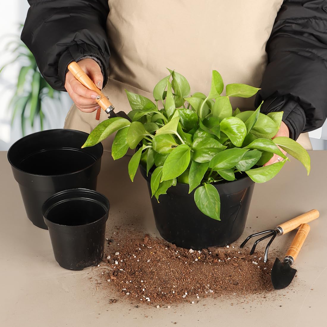 8/6/4 Inch Plant Nursery Pots 15 Pack, Thickened Plastic Pots for Plants with Drainage Holes, Sturdy Seedling Pots, Seed Starting Pots, Flower Pots for Indoor Outdoor Plants, Black