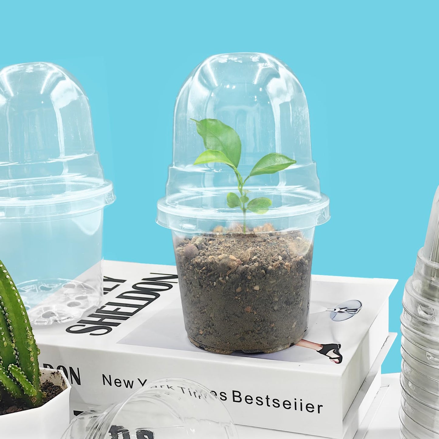 Transparent Nursery Pots 4Inch with Humidity Domes for Seeds Starting, Clear Plastic Plant Pots with Drainage Holes (4Inch, 30Pcs,Clear Pots with Lids)