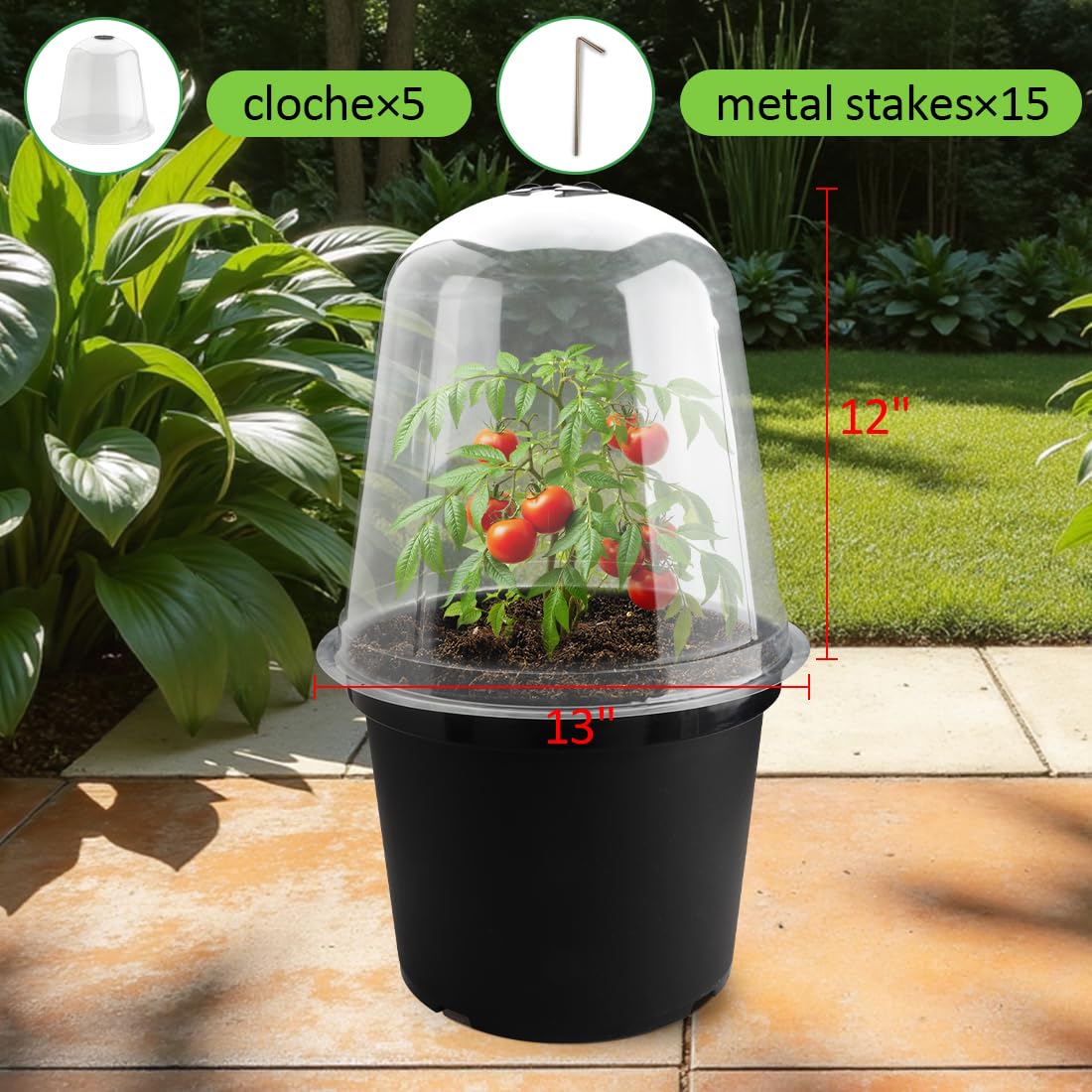13 Inch Humidity Domes Garden Cloches for Plant Protection, Plant Protectors from Animals, Garden Clear Plant Cover with Ventilation Holes 5 Pack