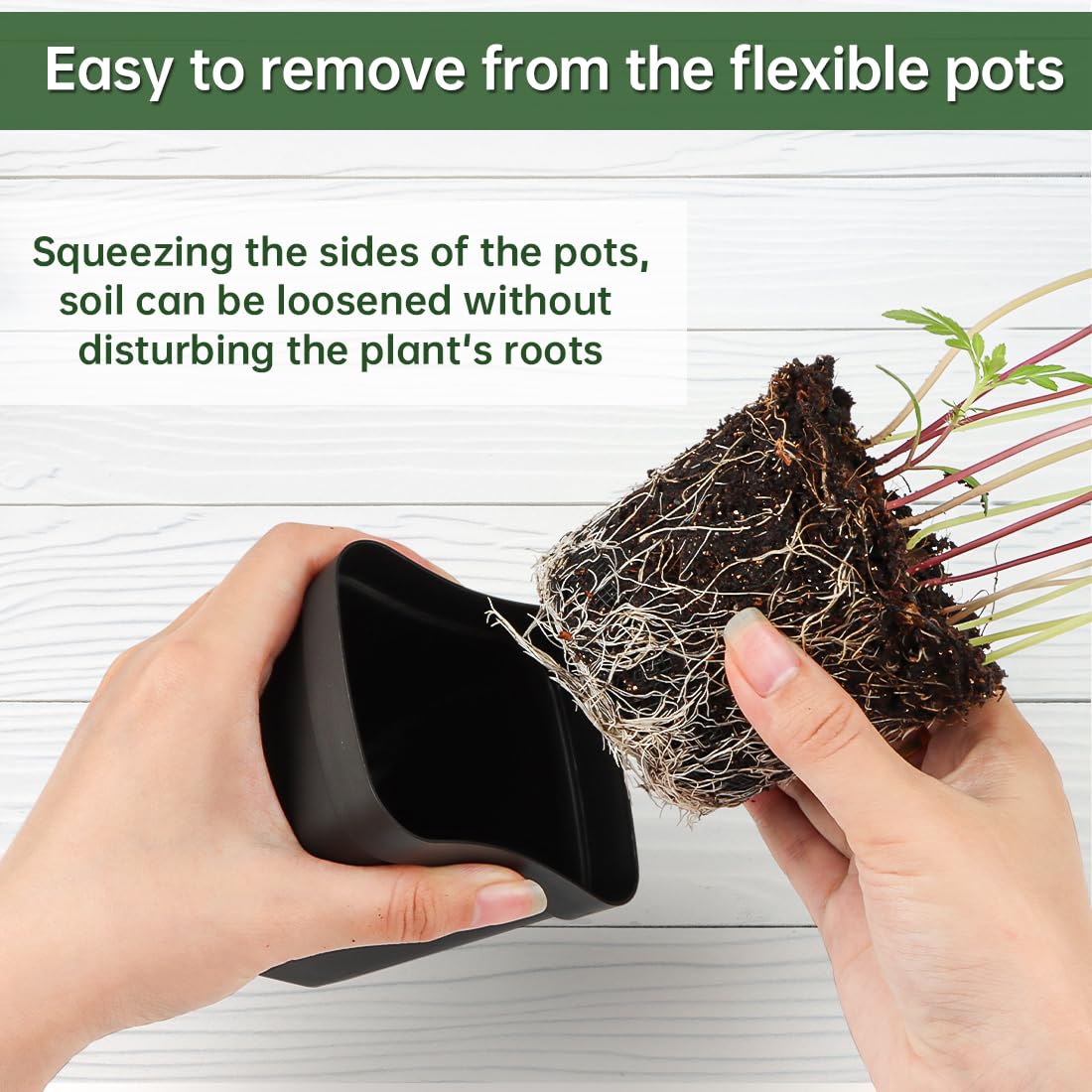 BTPLASTIK 60 Pcs Nursery Pots 2.7 Inch, Plastic Seed Starting Pot with Drainage Holes, Sturdy Seedling pots for Planting, Cuttings (Black)