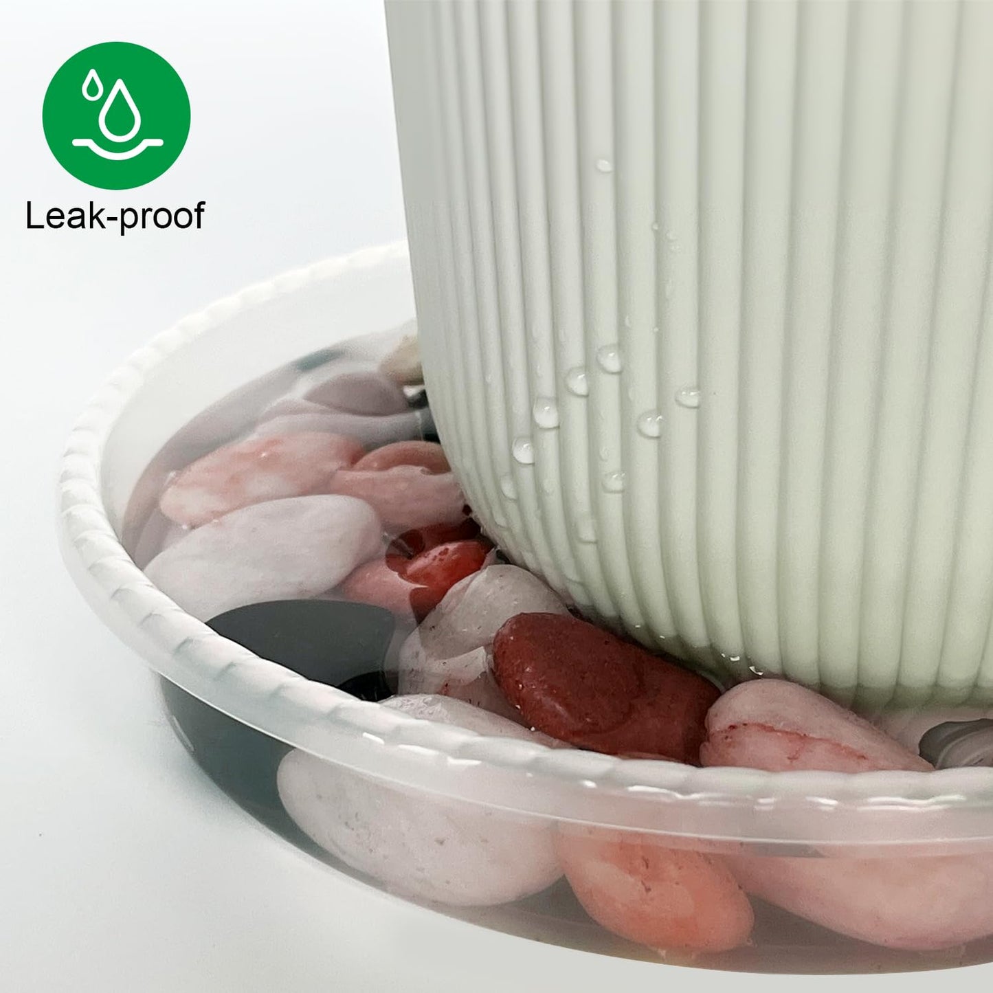 5 Pack Plant Saucer for Indoor Plants, 8 Inch Clear Plant Trays for Pots, Durable Plastic Flower Plant Pot Saucer, Heavy Duty Sturdy Plant Saucer Drip Trays for Pots