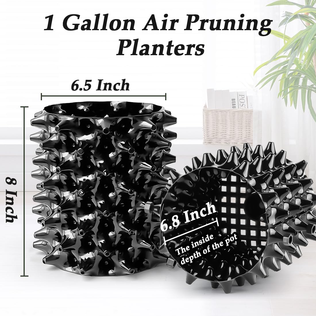1 Gallon Air Pruning Containers New Plastic Nursery Pots Fruit Vegetable Garden Self-Planting Pots (10), Black (1G-10P)