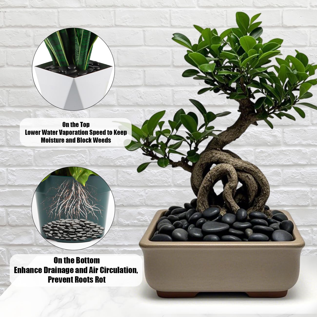 Pebbles for Indoor Plants 5 Lb, 0.5"-1.4" River Rocks High Polished Pebbels for Garden Landscaping, Decorative Stones Vase Filler, Fish Tank, Fountain, Succulents, Flower Bed, Black