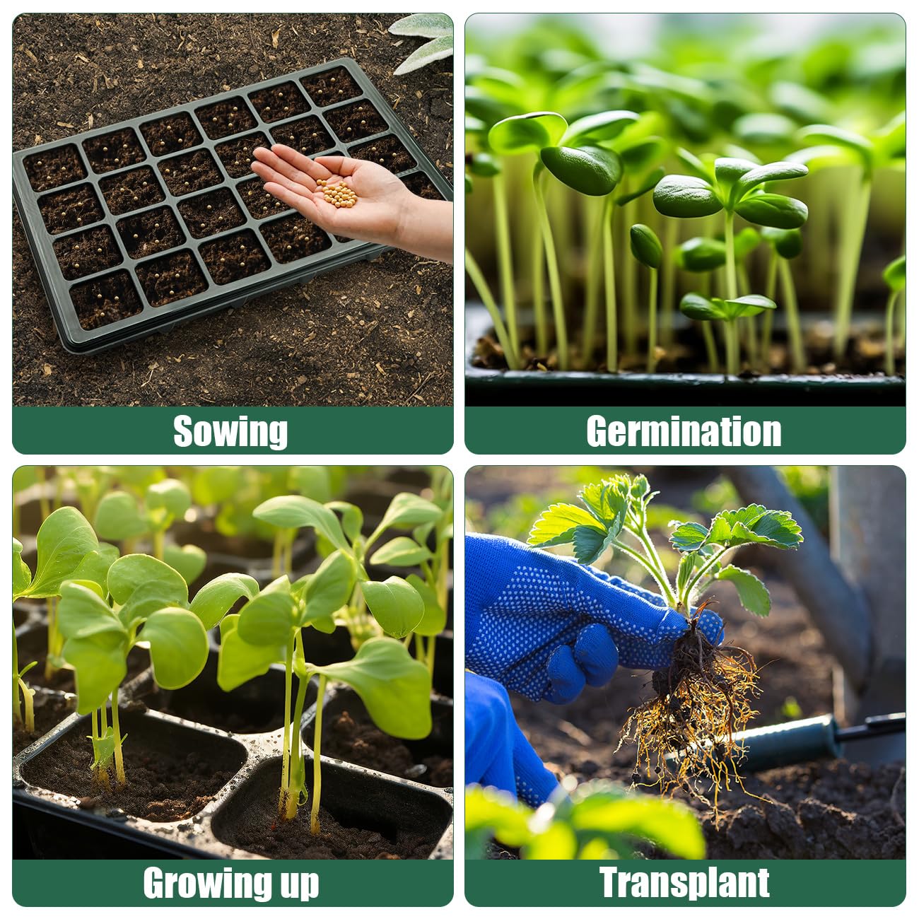 Seed Starter Tray with Dome-5 Sets 24XL Cell Seedling Trays(Total 120 Cells), Plant Germination Tray with Humidity Vented Lid and Base, Mini Propagator Plant Greenhouse for Seed Growing