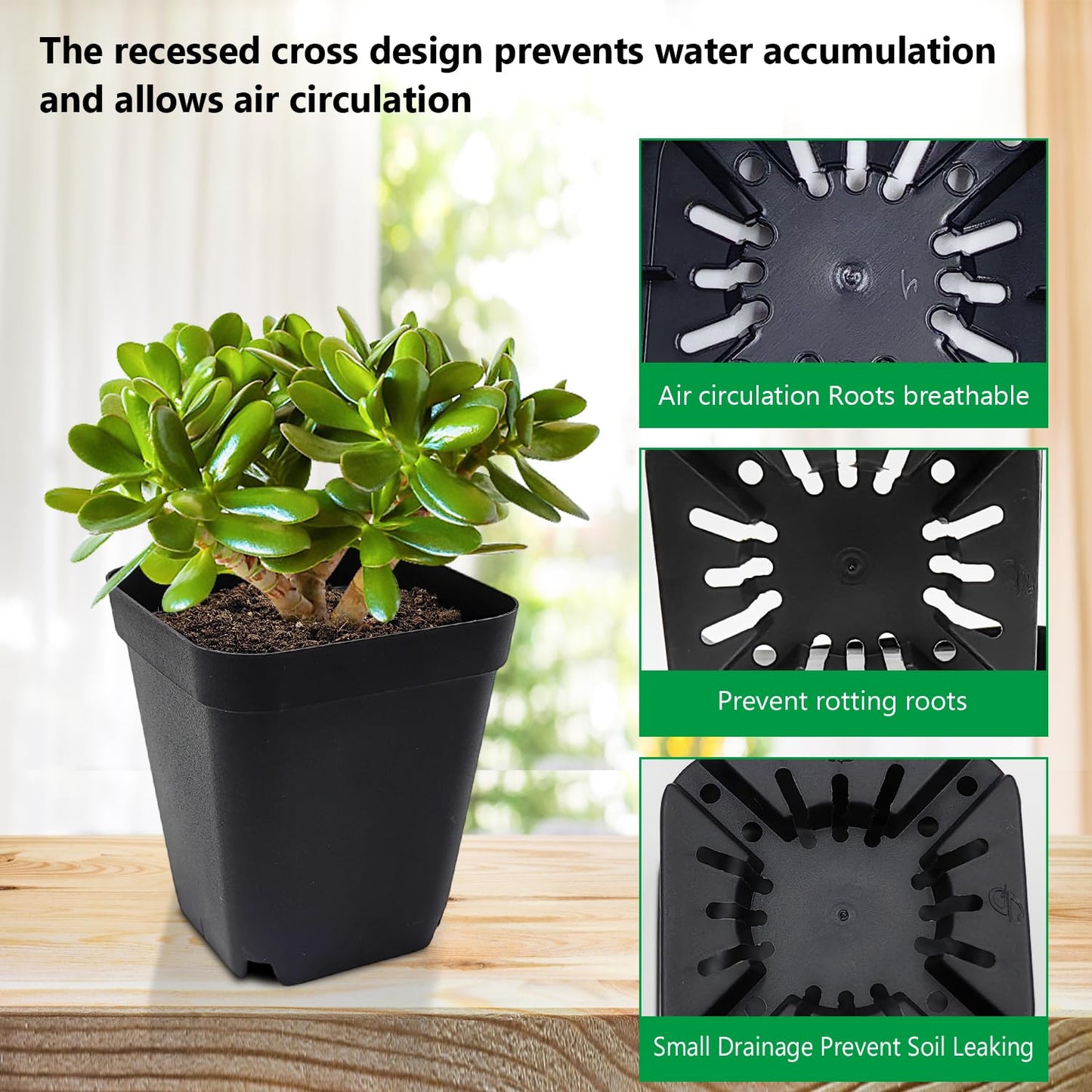 Square Nursery pots 4 Inches 60Pcs, Seedling Plastic Seeds propogation Growing Pots (Black,4Inches,60Pcs)