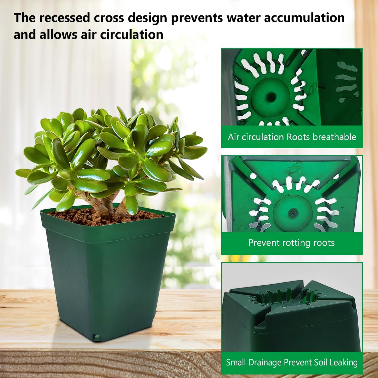 Square Nursery Succulent Pots 4 Inches 60 Pcs Deep Flower Plant Nursery Seedling Grow Pots Plastic with Drainage (Green, 4Inches, 60Pcs)