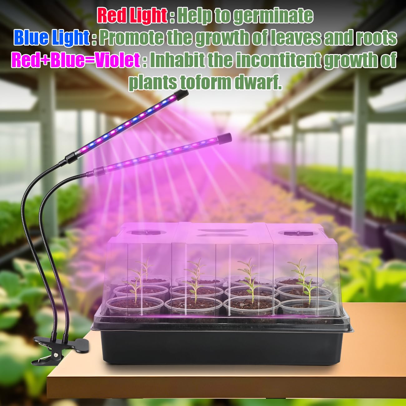 50pcs 3.5" Clear Nursery Pots with 4 Trays and 2 Adjustable LED Grow Lights – Complete Seed Starter Kit with 5" Tall Humidity Dome for Seed Germination, Seedling Planting Propagation, Indoor Gardening