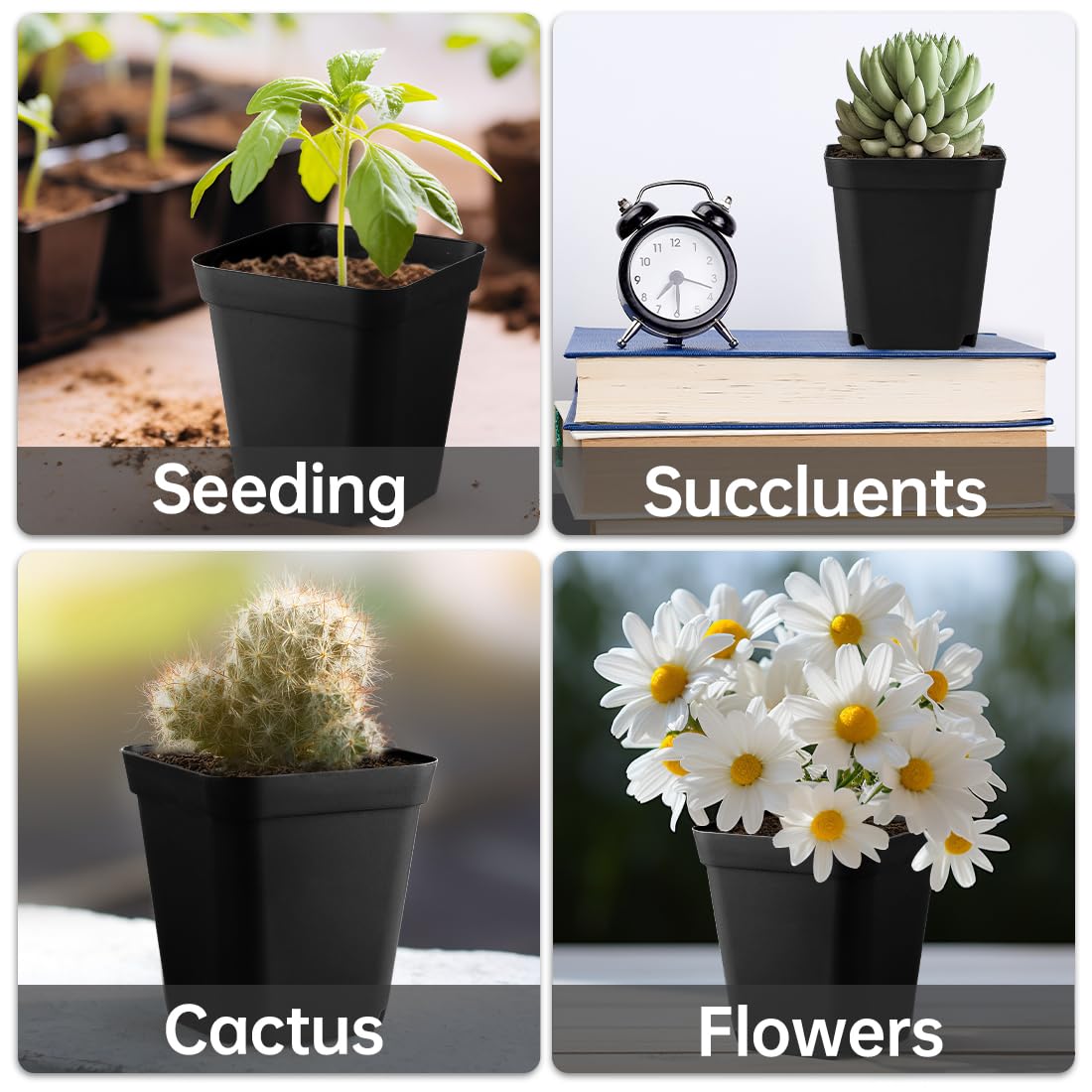 BTPLASTIK 80 Pcs Nursery Pots 4 Inch, Plastic Seed Starting Pot with Drainage Holes, Sturdy Seedling pots for Planting, Succulents, Transplanting, Cuttings (Black)