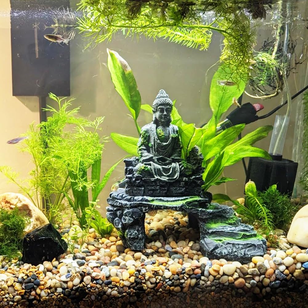 Rocks for Plants 5 Lbs, 0.4-1.2 Inch High Polished Pebbels, Decorative Stones for Garden Landscaping, Smooth Gravel Filler for Outdoor Plants, Succulents, Fish Tank and Vases