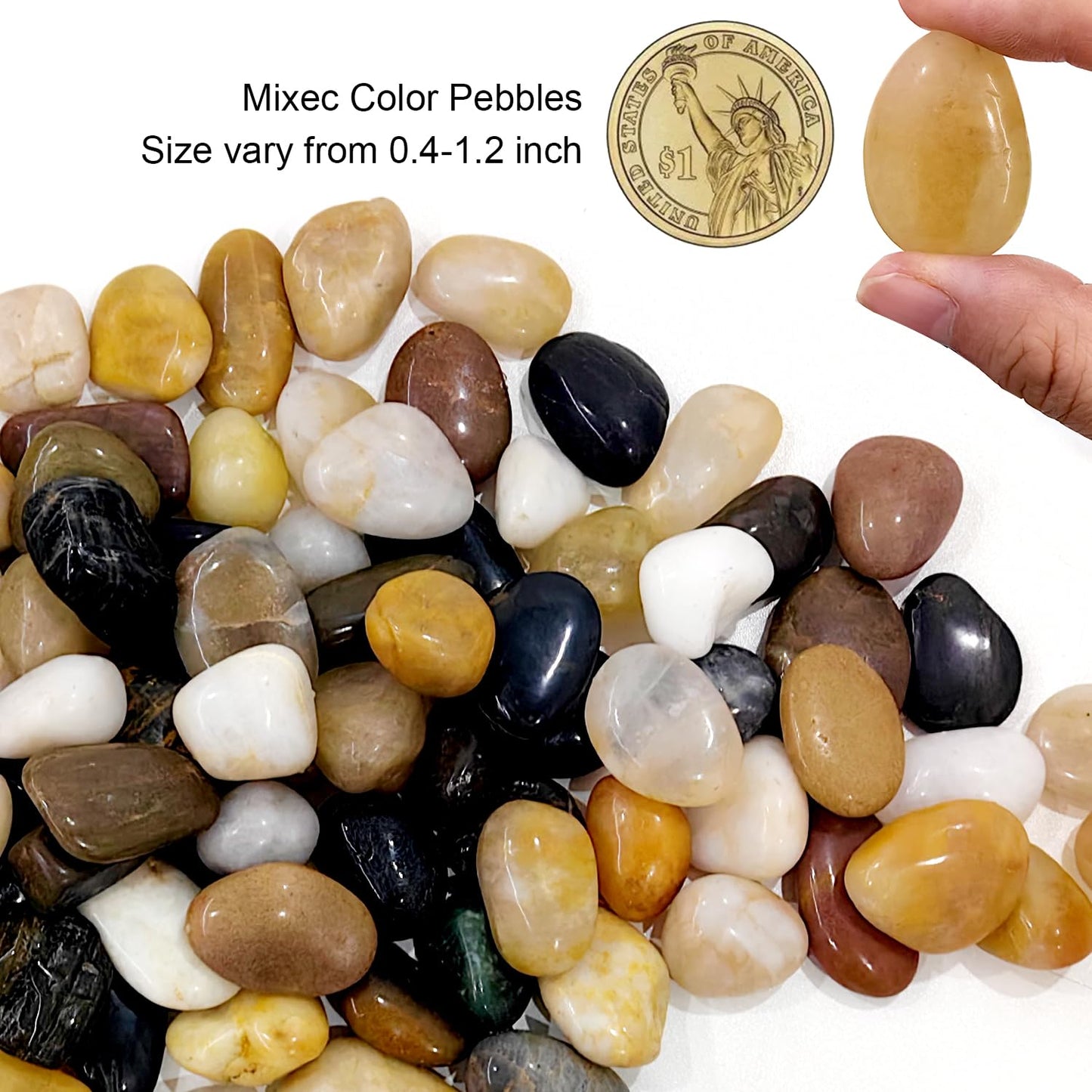 Rocks for Plants 5 Lbs, 0.4-1.2 Inch High Polished Pebbels, Decorative Stones for Garden Landscaping, Smooth Gravel Filler for Outdoor Plants, Succulents, Fish Tank and Vases