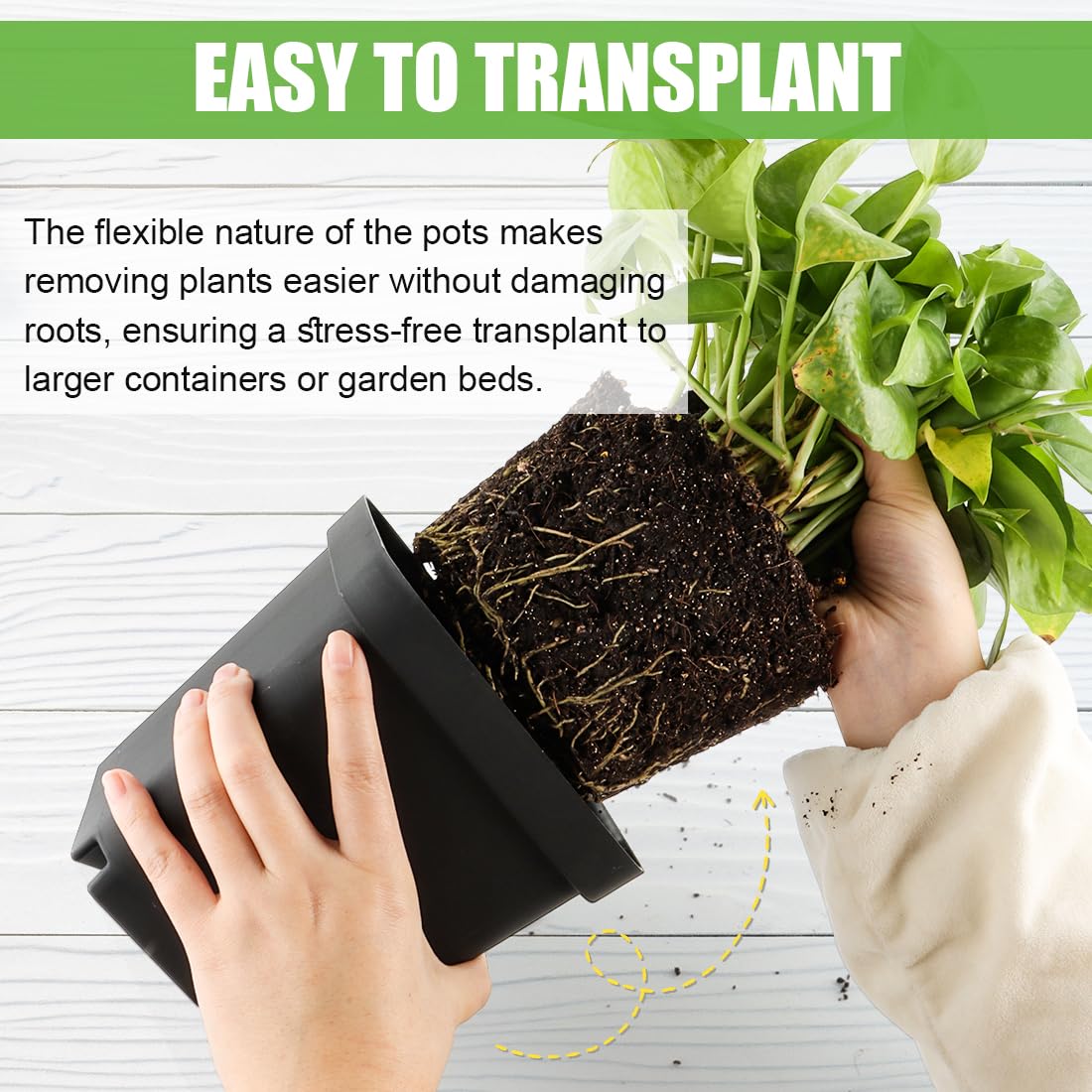 Square Nursery Pots 5.5 Inch, Plastic Plant Pot with Drainage Holes, 30P Reusable Seedling Starter Pots Garden Flower Pots Planters for Indoor Plants, Transplanting, Succulents, Cuttings