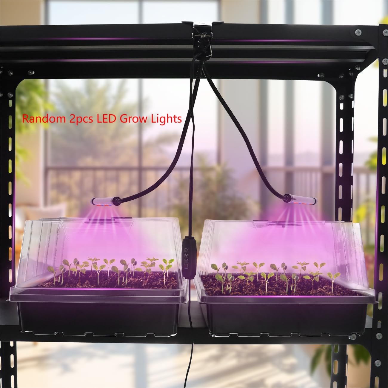 4-Pack Thick Plastic Seed Starter Trays – Durable Germination Kit with 5" Humidity Domes and Grow Light Random, Strong & Reusable for Herbs, Microgreens, Vegetables – Perfect for Home Gardeners