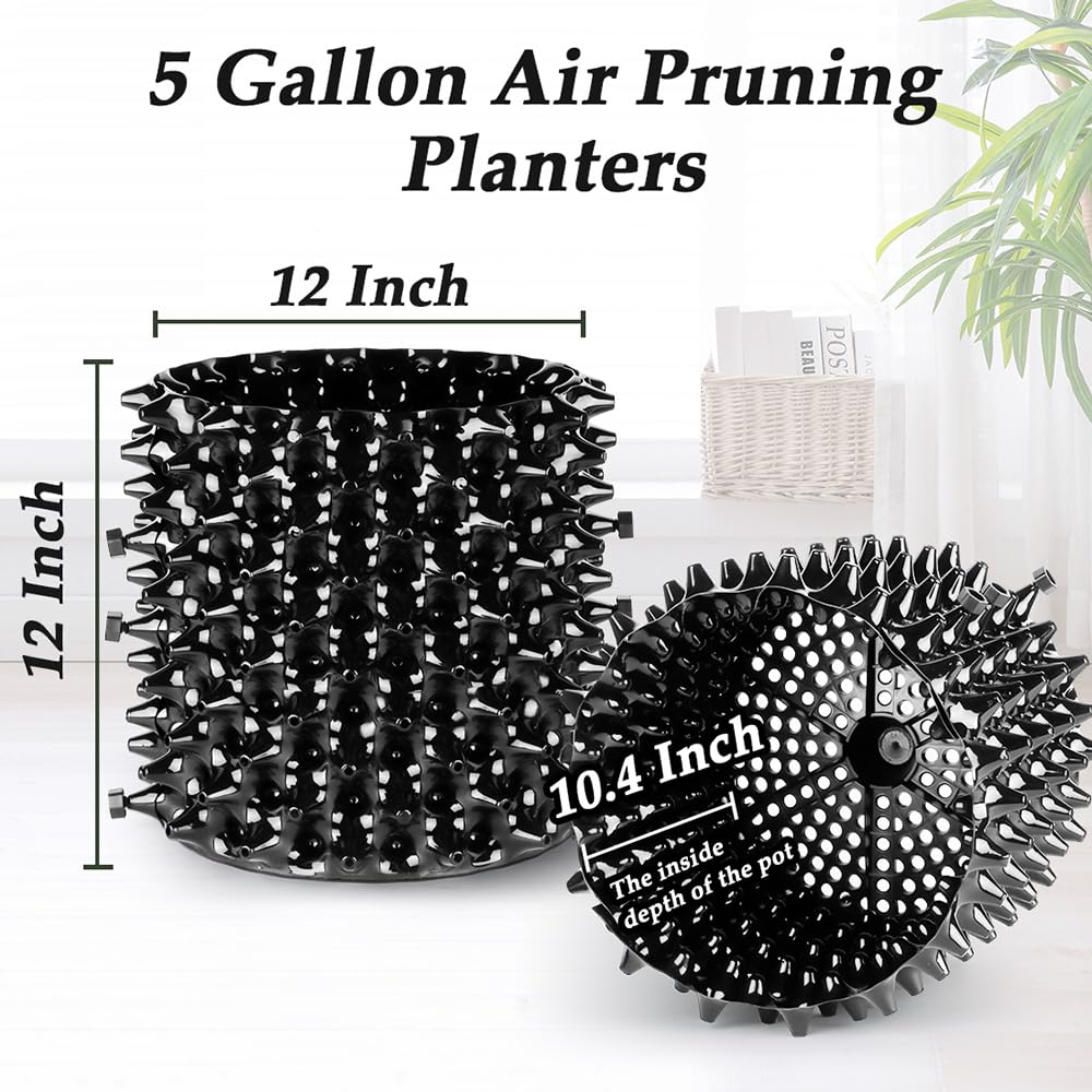Air Pruning Planters 5 Gallon 6-Pack, Sturdy Plastic Roots Control Planter Container for Fruit Vegetable Garden Orchard, Size 12"x12",Black