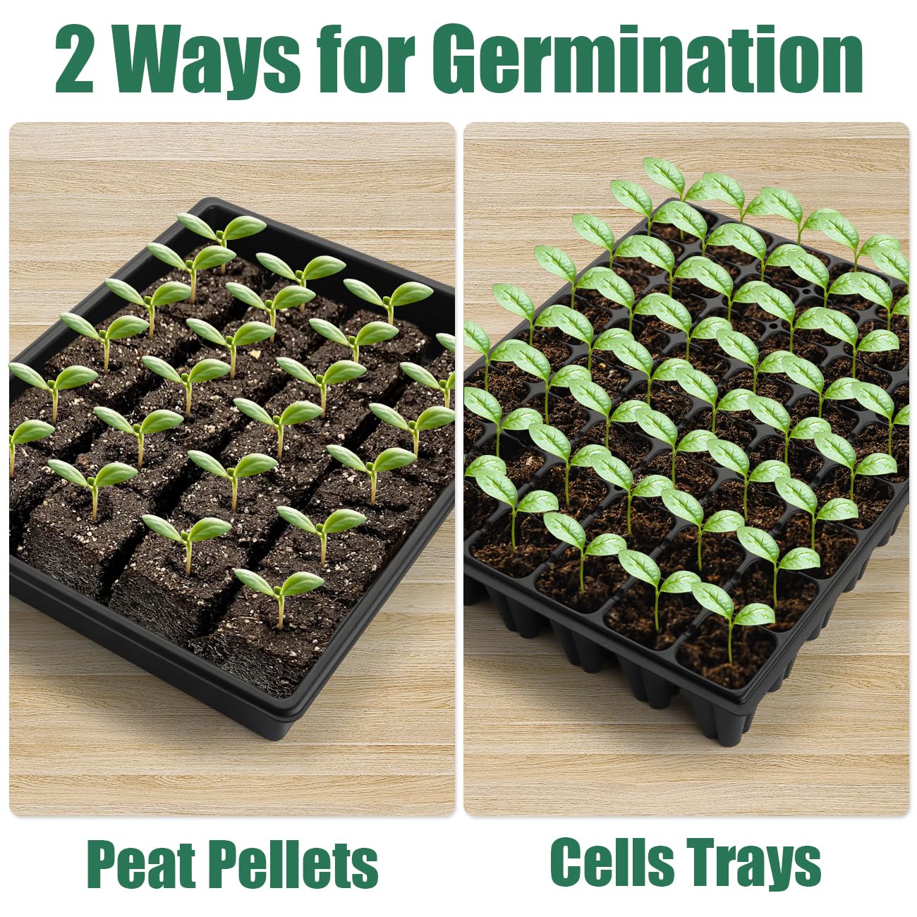 5-Pack No Drip Seed Starter Trays with 4" Humidity Dome - 240 Cells Deep Root Plug Trays, 2.76" Depth for Strong Roots Perfect for Vegetables, Herbs, Flowers & Plant Propagation, Gardening Supplies