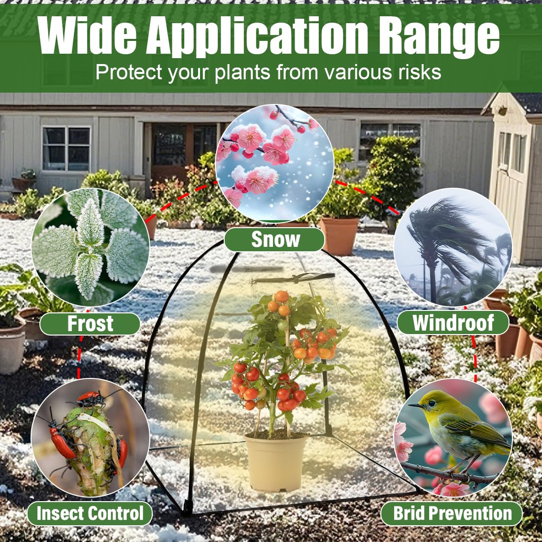 Plant Protectors from Animals, Garden cloches for Plants, Plant Covers Freeze Protection, Clear Outdoor Garden Frost Cover, Potted Fruit min Greenhouse(Transparent,2-Pack)