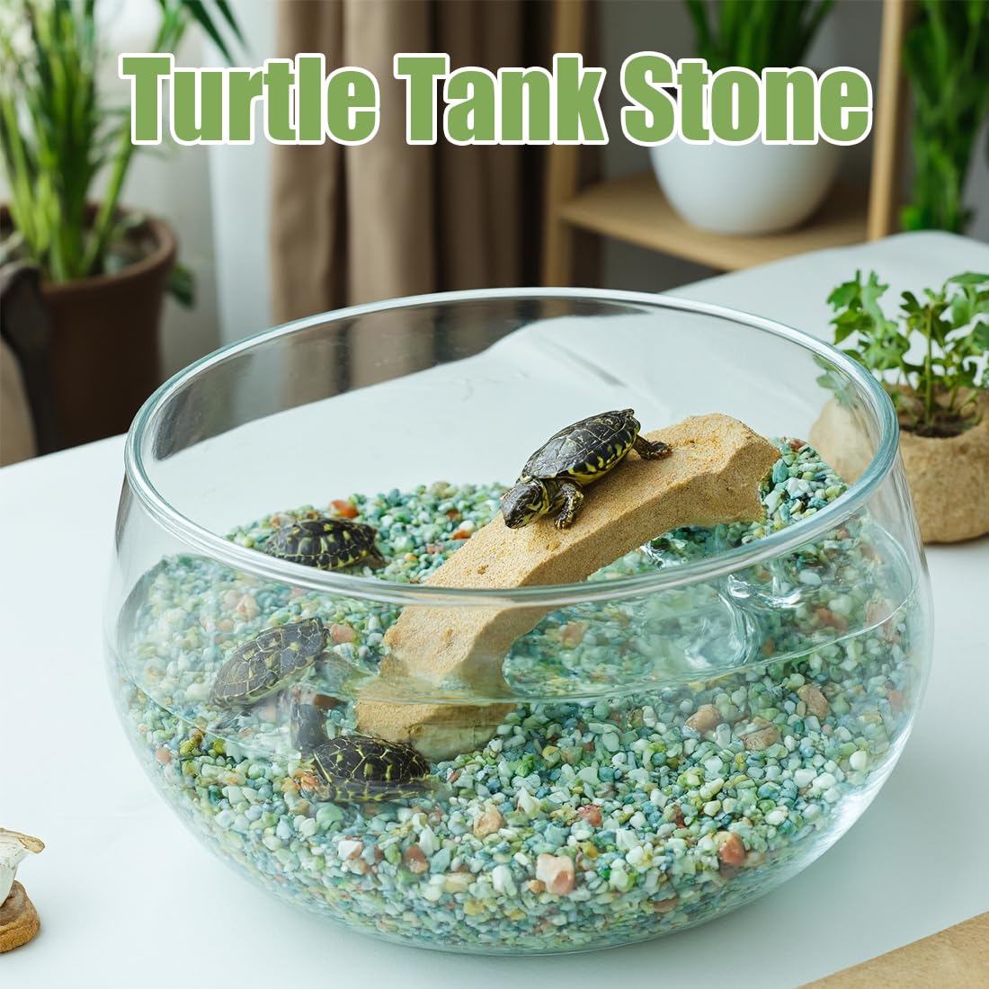 Pebbles for Indoor Plants 5 Lbs, 3/8 Inch Jade Vase Filler, Rocks for Plants Indoor, Stones for Garden Landscaping, Smooth Gravel Filler for Succulents, Cactus, Fish Tank and Vases
