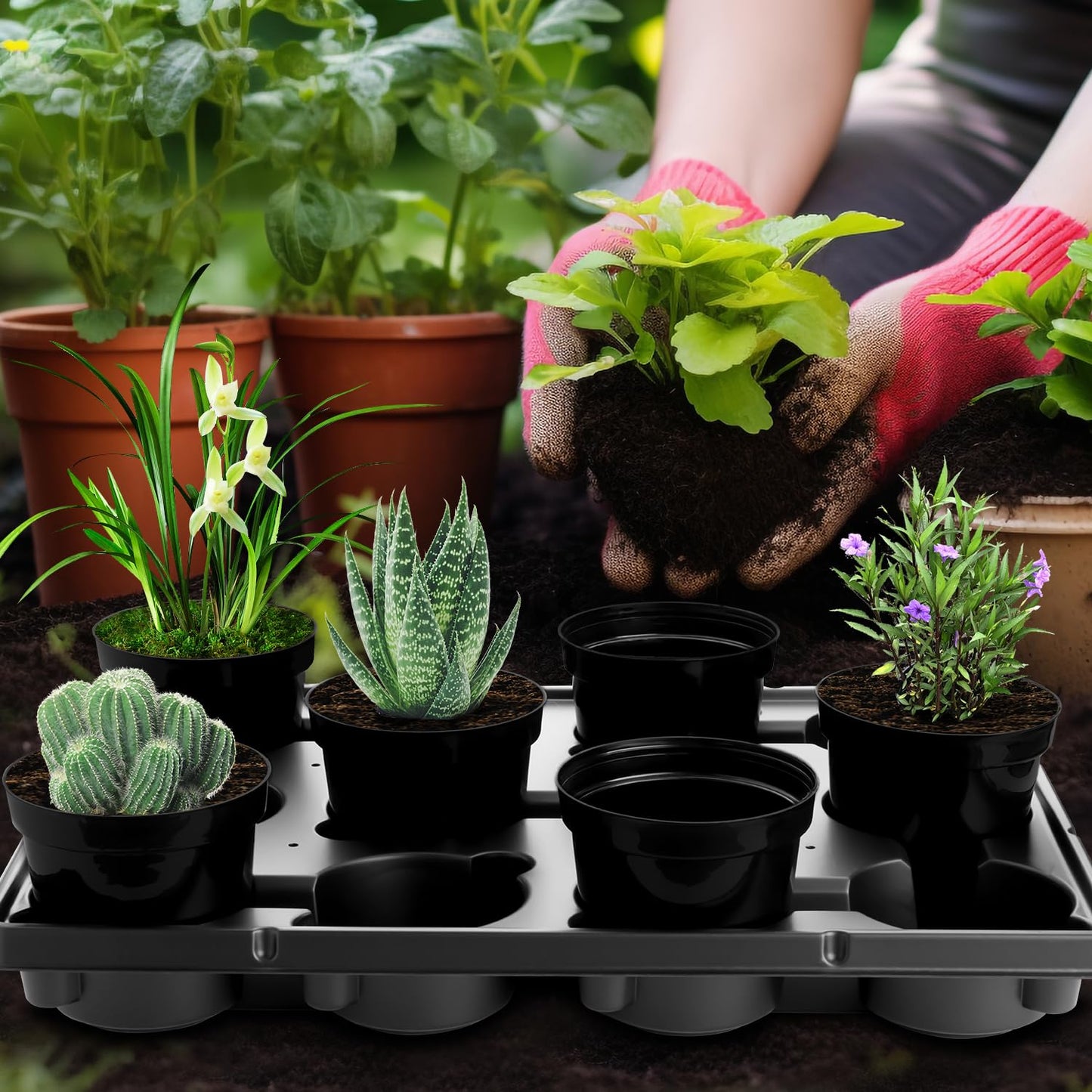 BTPLASTIK 12 Cell Round Nursery Pots Trays 8 Pack, Sturdy Carrying Trays for Holding 4 Inch Plant Pots, Thickened Plastic Seeding Planting Tray, Black