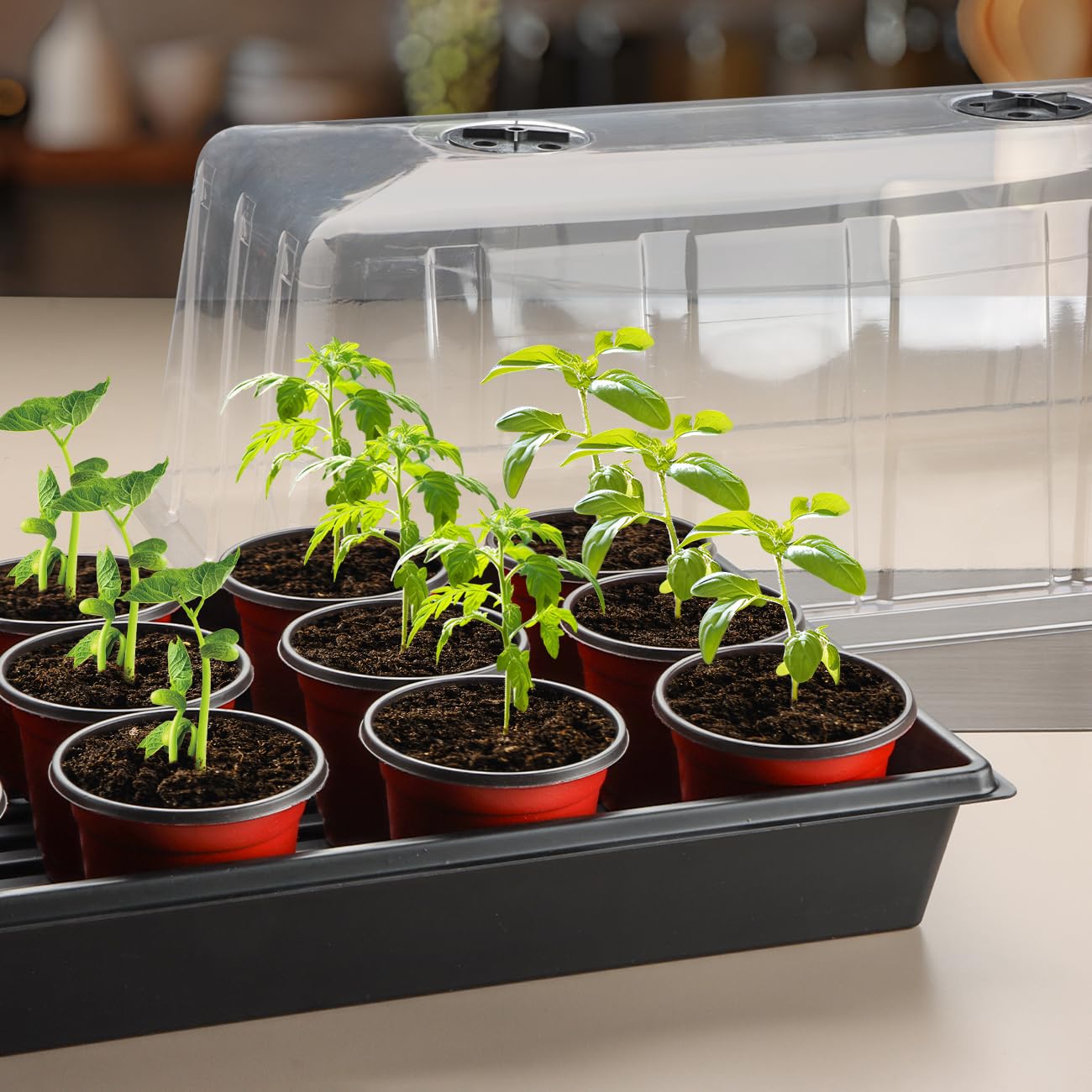 1020 Plant Tray with Tall 7.3'' Dome, 5set Extra Large Seed Starter Tray with Humidity Domes, Heavy Duty 1020 Trays and Flats with Lid, Seed Germination Mini Greenhouse No Hole for Balcony Garden