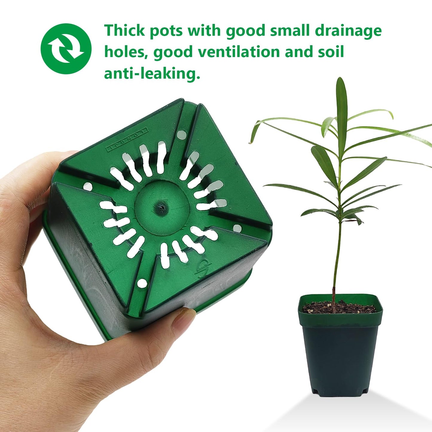 Square Seedling Nursery Pots 3.15 Inches 100 Pcs for Small Succulents or Cacti Flower Plastic Pots Sturdy Reusable (Green, 3.14Inches,100Pcs)