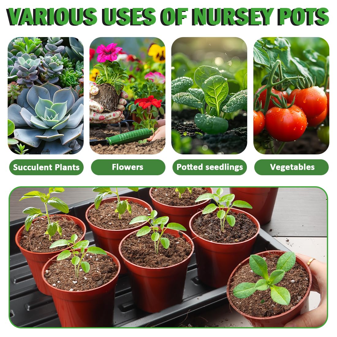 主图下载 A+图片下载 评论图片下载 关联视频下载 50 Pack 3.3 Inch Plastic Plant Nursery Pots, Seedling Pots with Drainage Holes, Seed Starting Pots, Small Plant Pot for Planting Flowers Indoor Outdoor, Red