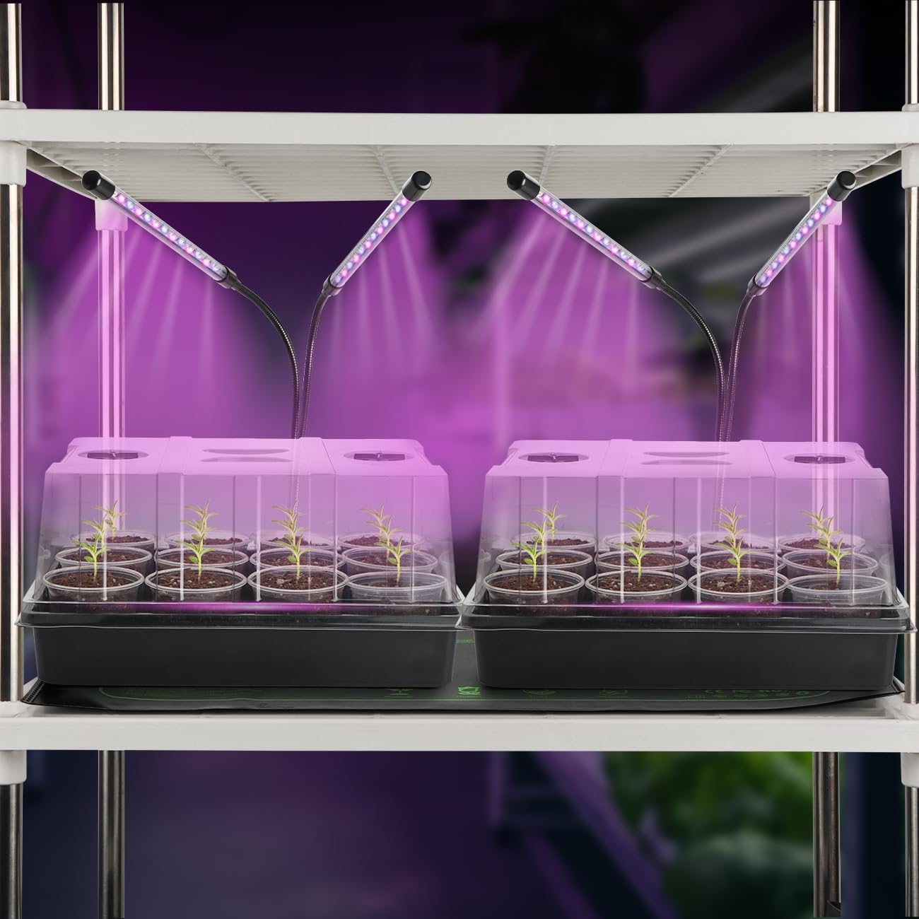 50pcs 3.5" Clear Nursery Pots with 4 Trays and 2 Adjustable LED Grow Lights – Complete Seed Starter Kit with 5" Tall Humidity Dome for Seed Germination, Seedling Planting Propagation, Indoor Gardening