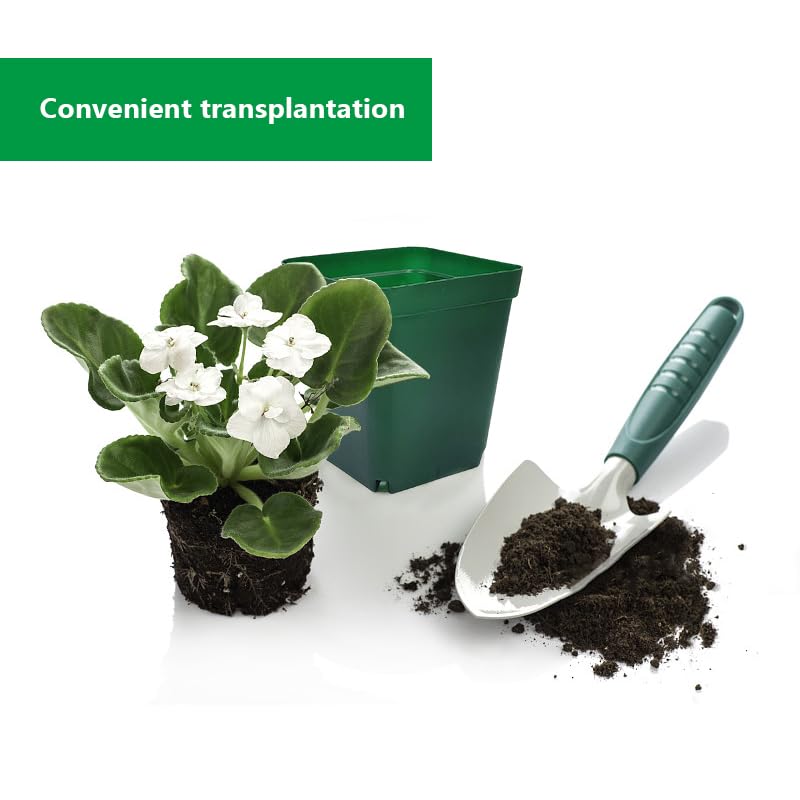 Square Nursery Succulent Pots 4 Inches 60 Pcs Deep Flower Plant Nursery Seedling Grow Pots Plastic with Drainage (Green, 4Inches, 60Pcs)